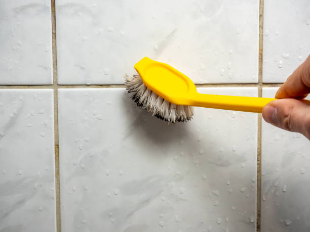 Certified Mold Removal in Kerman, CA