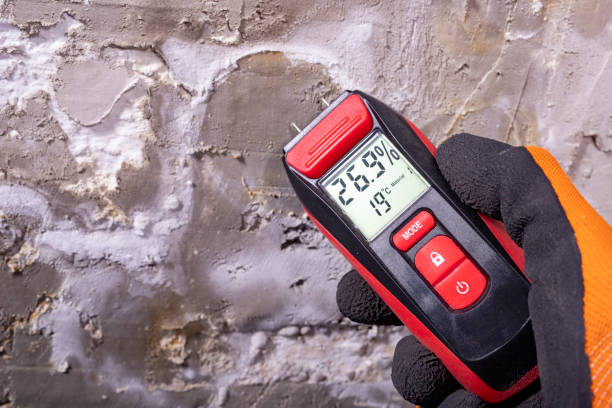 Trusted Kerman, CA Mold Removal Experts