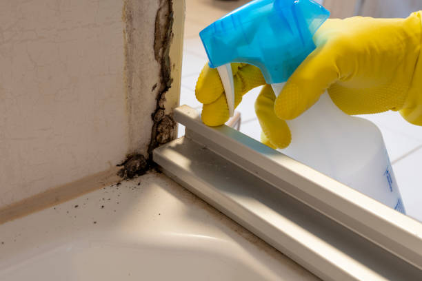 Best Commercial Mold Removal  in Kerman, CA