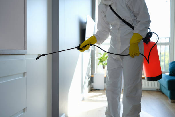 Best Certified Mold Removal  in Kerman, CA