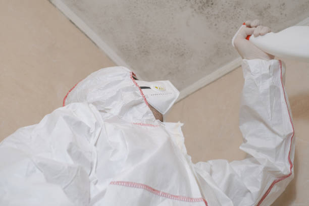 Best Commercial Mold Removal  in Kerman, CA