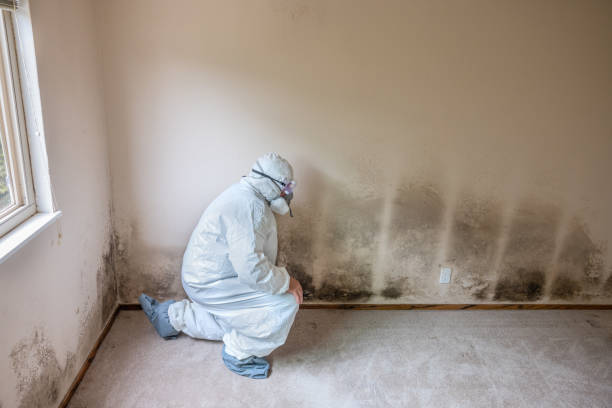 Best Fast Mold Removal  in Kerman, CA